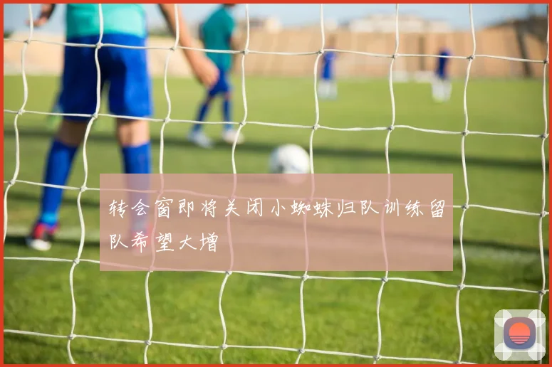 转会窗即将关闭小蜘蛛归队训练留队希望大增
